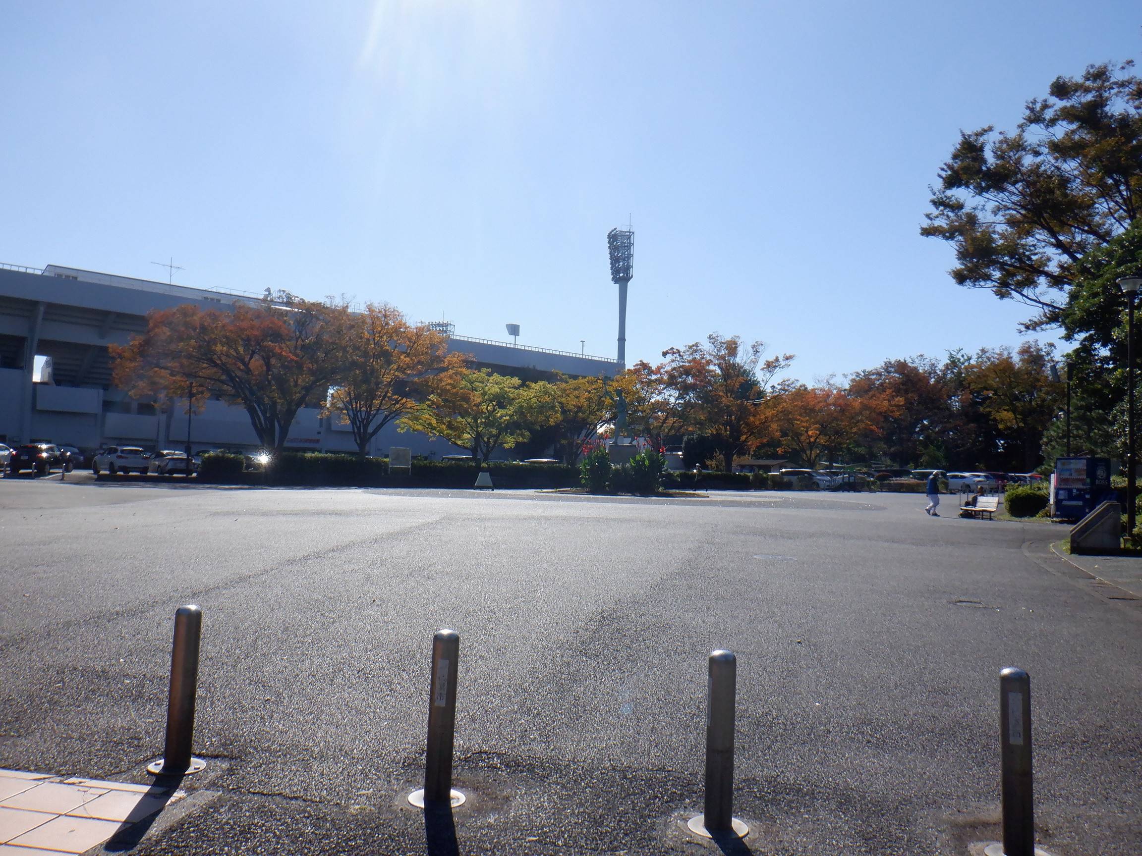 散策日和の写真