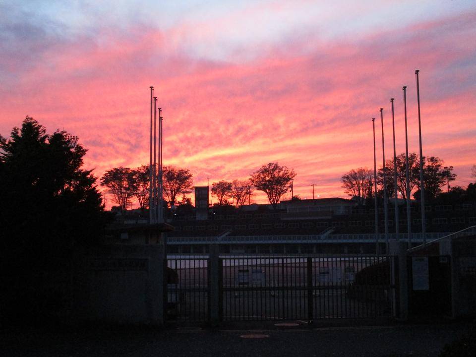 三ツ沢公園 「秋は夕暮れ・・・」夕焼けが綺麗です!の写真