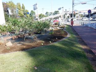 2027年国際園芸博覧会(花博)応援花壇として、ナチュラルスティックガーデンを創ります