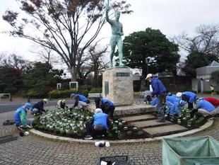 ボランティア団体の方々に冬の花苗の植付けをしていただきました