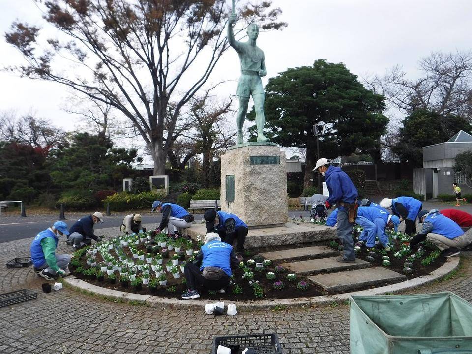 ボランティア団体の方々に冬の花苗の植付けをしていただきましたの写真