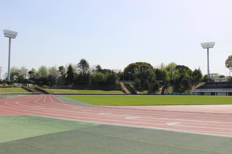 神奈川県高等学校総合体育大会の写真