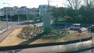 ロータリー花壇　バラの冬剪定