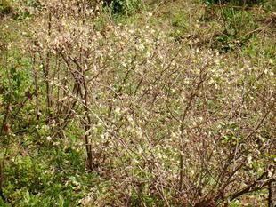 旧市民病院付近