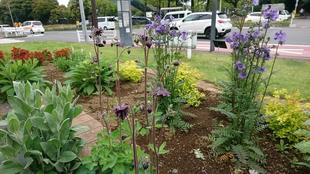 ナチュラルスティックガーデン（ロータリー花壇）～５