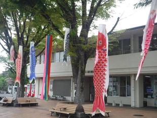 こいのぼりをかざりました