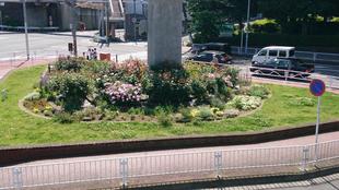 ナチュラルスティックガーデン(ロータリー花壇)~7