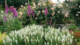 ナチュラルスティックガーデン(ロータリー花壇)~9