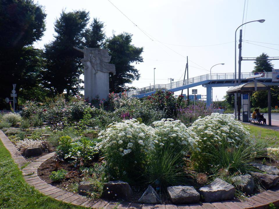 夏の花植え~ロータリー花壇の写真