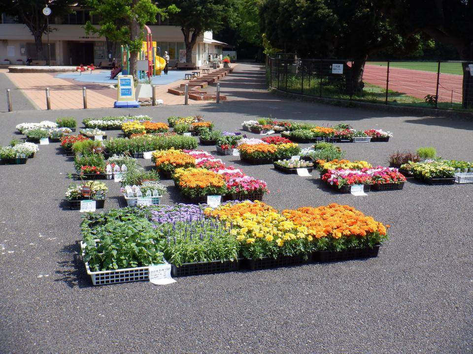 花苗納品の写真