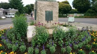 園内のモナルダ