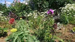 ナチュラルスティックガーデン(ロータリー花壇)~13