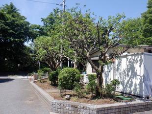 第一駐車場前 植栽地整備2