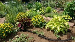 ナチュラルスティックガーデン（ロータリー花壇）～16