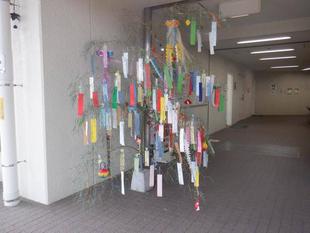 第一レストハウスの七夕飾り