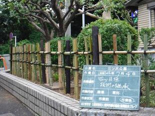 第一駐車場前  植栽地整備  ４ (技術の継承)