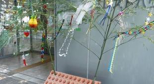 ボランティア団体様による七夕の飾り付け