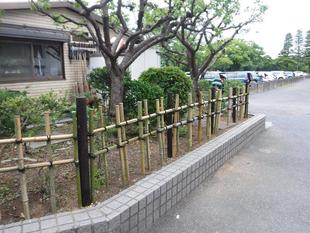 第一駐車場前　植栽地整備　３