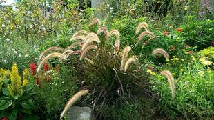 ナチュラルスティックガーデン(ロータリー花壇) ~19