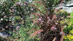 ナチュラルスティックガーデン(ロータリー花壇)~17