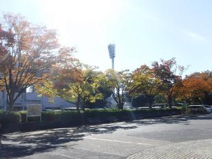 平沼像付近の紅葉