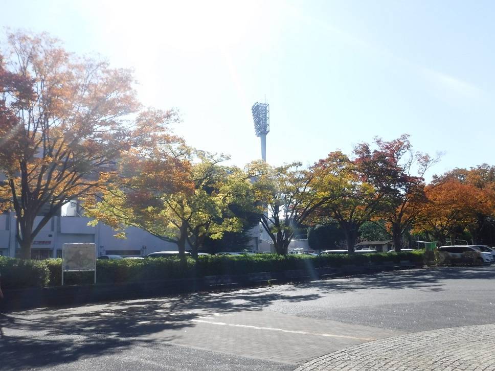 平沼像付近の紅葉の写真