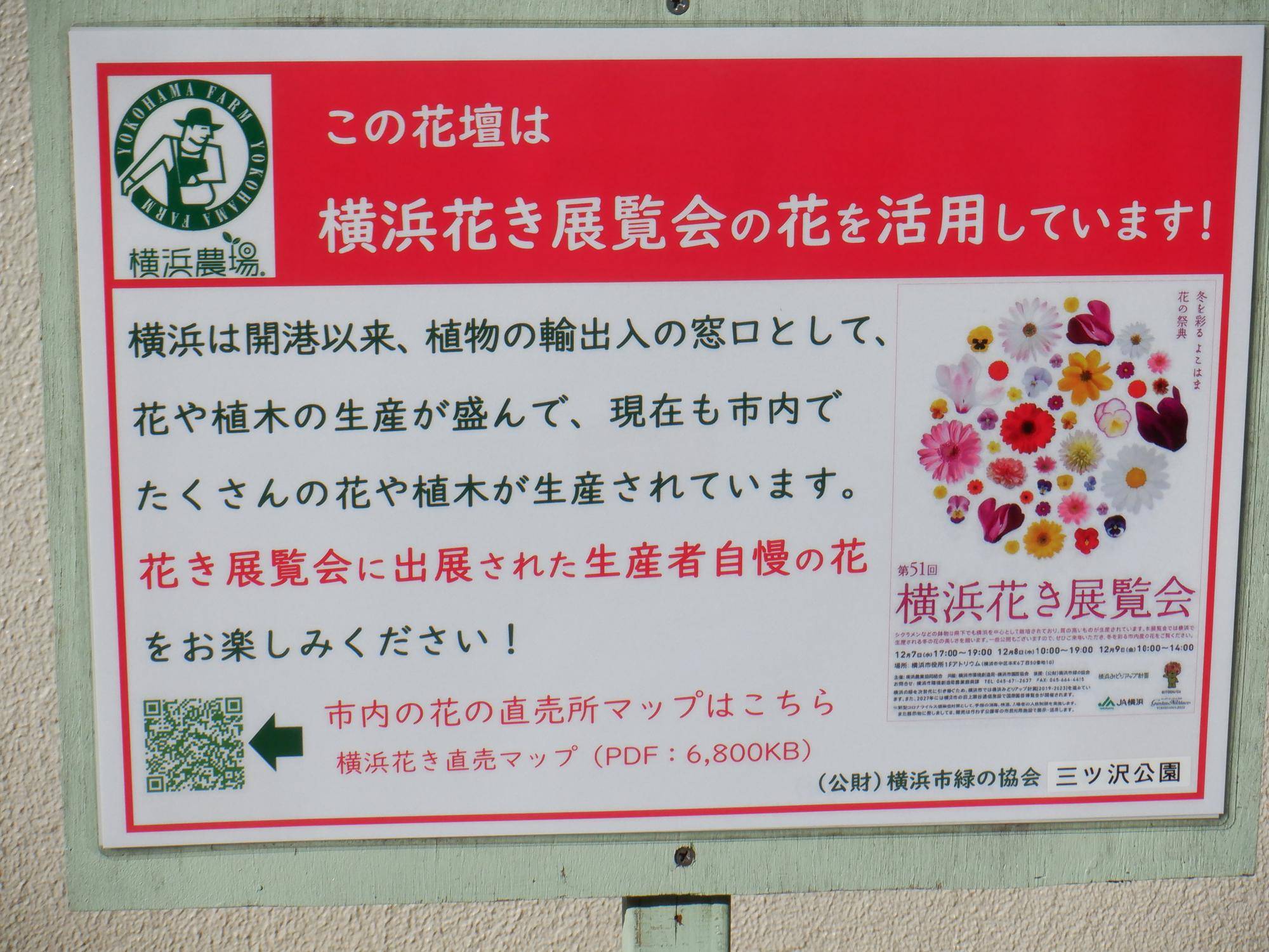 花苗の植栽　４の写真