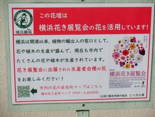 花苗の植栽　４