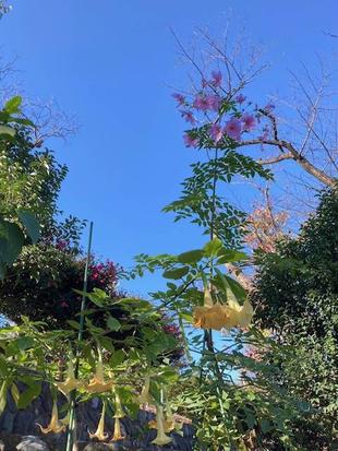 野外活動センター外周路付近