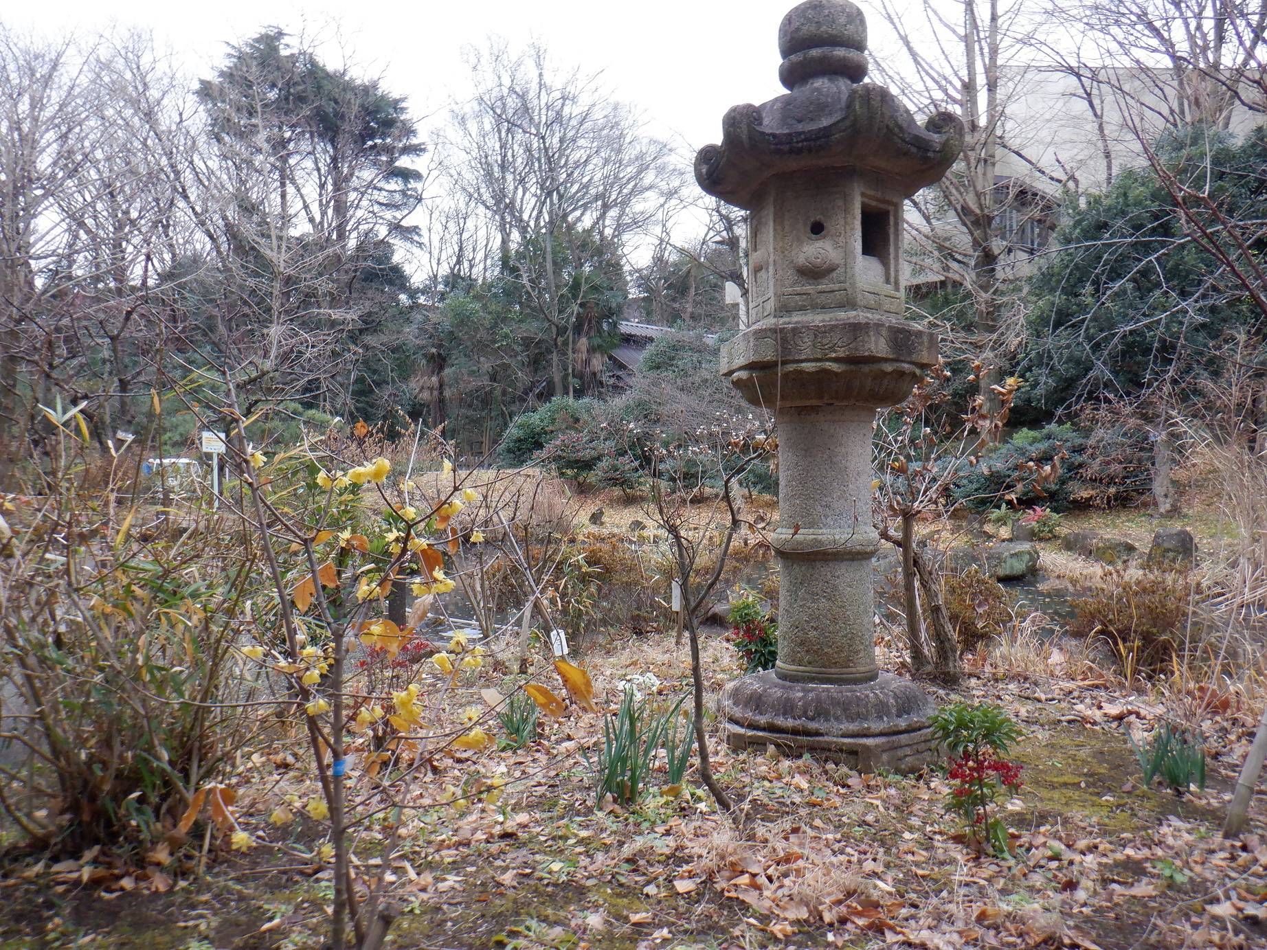 池の周りの写真