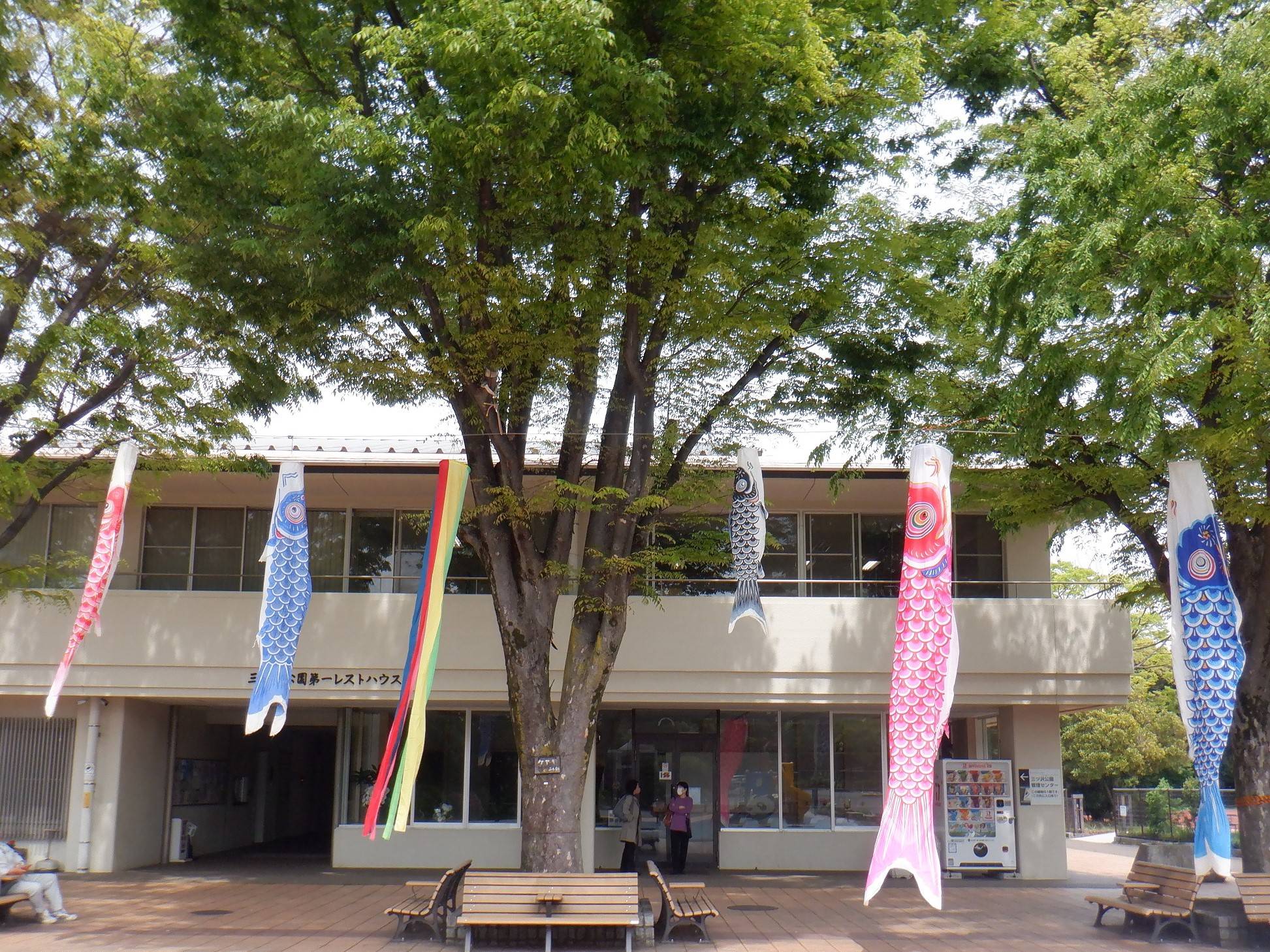 こいのぼりと「leaf cafe」の写真