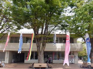 こいのぼりと「leaf cafe」