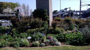 ナチュラリスティックガーデン 2