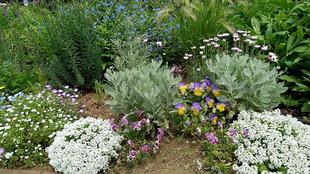 ナチュラリスティックガーデン 1