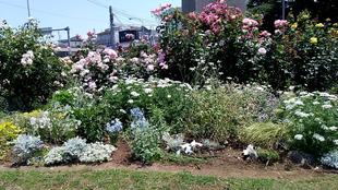 里山ガーデンからの贈りもの