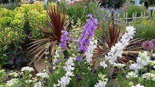 ナチュラリスティックガーデン（５/８撮影）