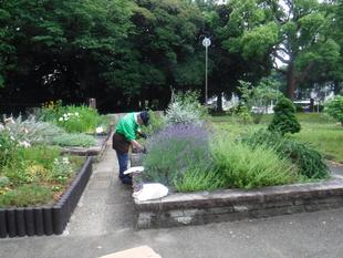 ボランティア団体さんによる活動