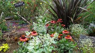 ナチュラリスティックガーデン（6/22午前撮影）