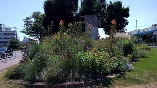 ナチュラリスティックガーデンVol.1