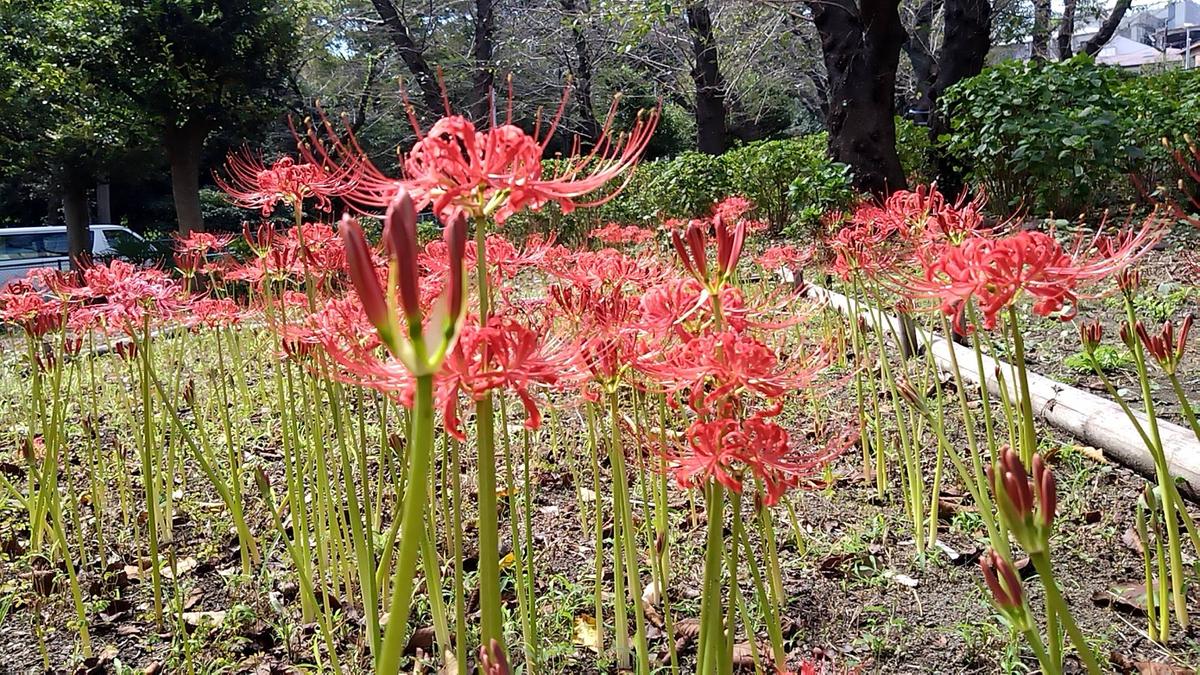 1f22c48d4b035b798b46c0abb09ce6