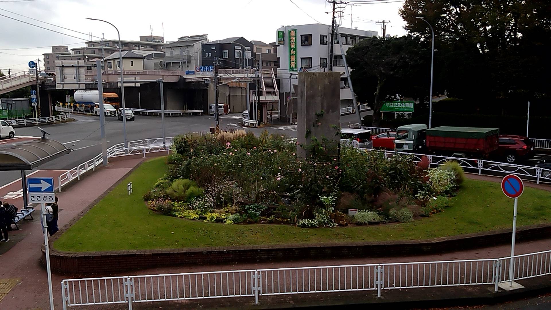 雨上がりのナチュラリスティックガーデン(11/6朝撮影)の写真