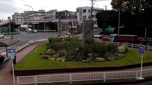 雨上がりのナチュラリスティックガーデン(11/6朝撮影）