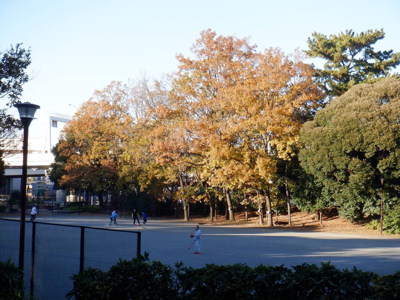 園内の紅葉の写真