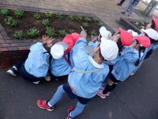 花苗植え【三ツ沢幼稚園】