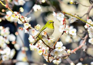 プチ・ギャラリー開設