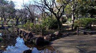 竹垣のリニューアルと新設(技術の継承)No.2