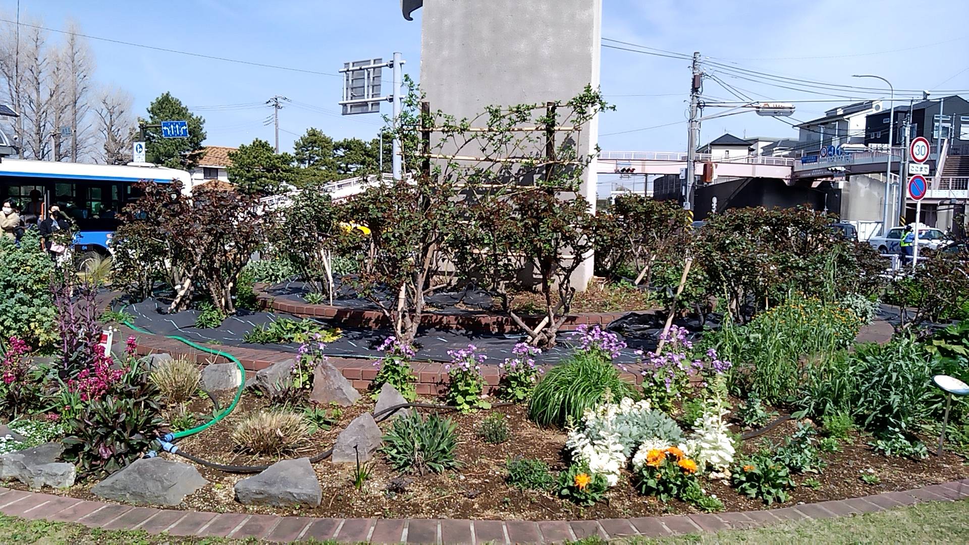ナチュラリスティックガーデン(3/30)の写真