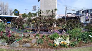 ナチュラリスティックガーデン(3/30)