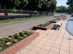 三ツ沢幼稚園園児さんによる夏苗植付け