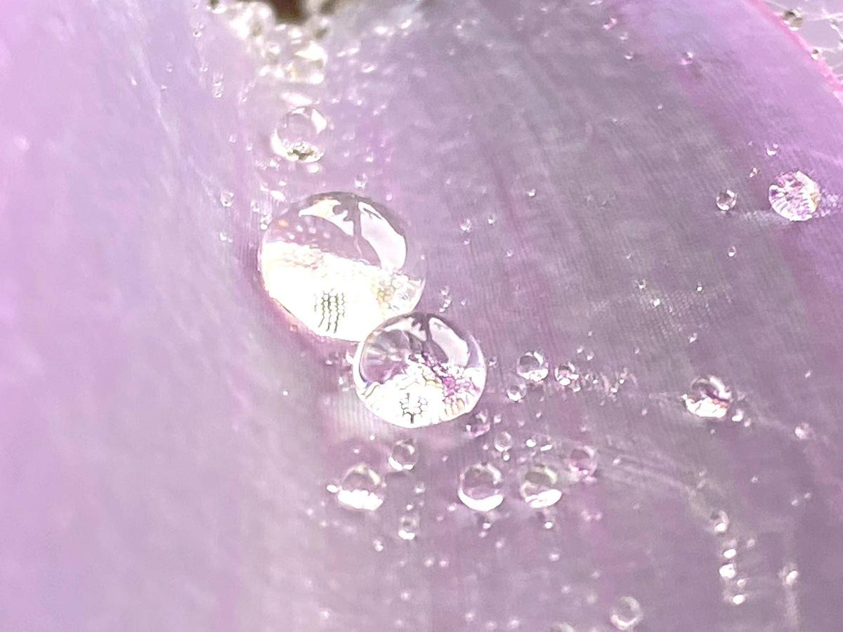 花入、水滴 9157a78acfc0a4ce8a7ff9d12b307f